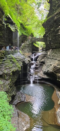 Watkins Glen