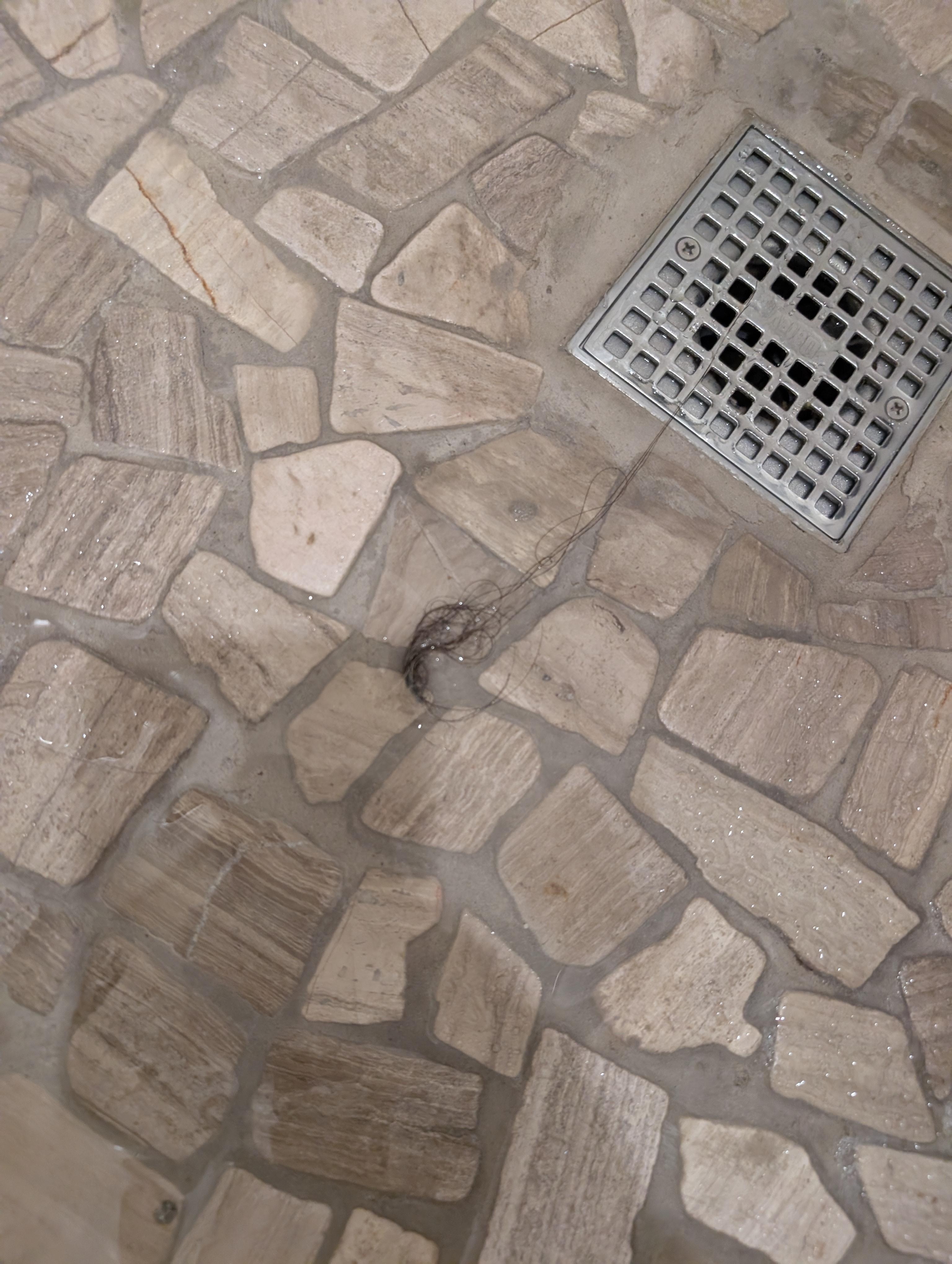 Hair in the drain