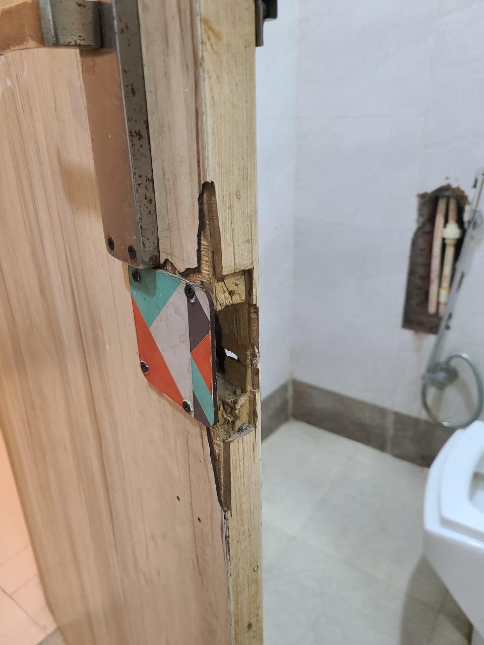 Bathroom door