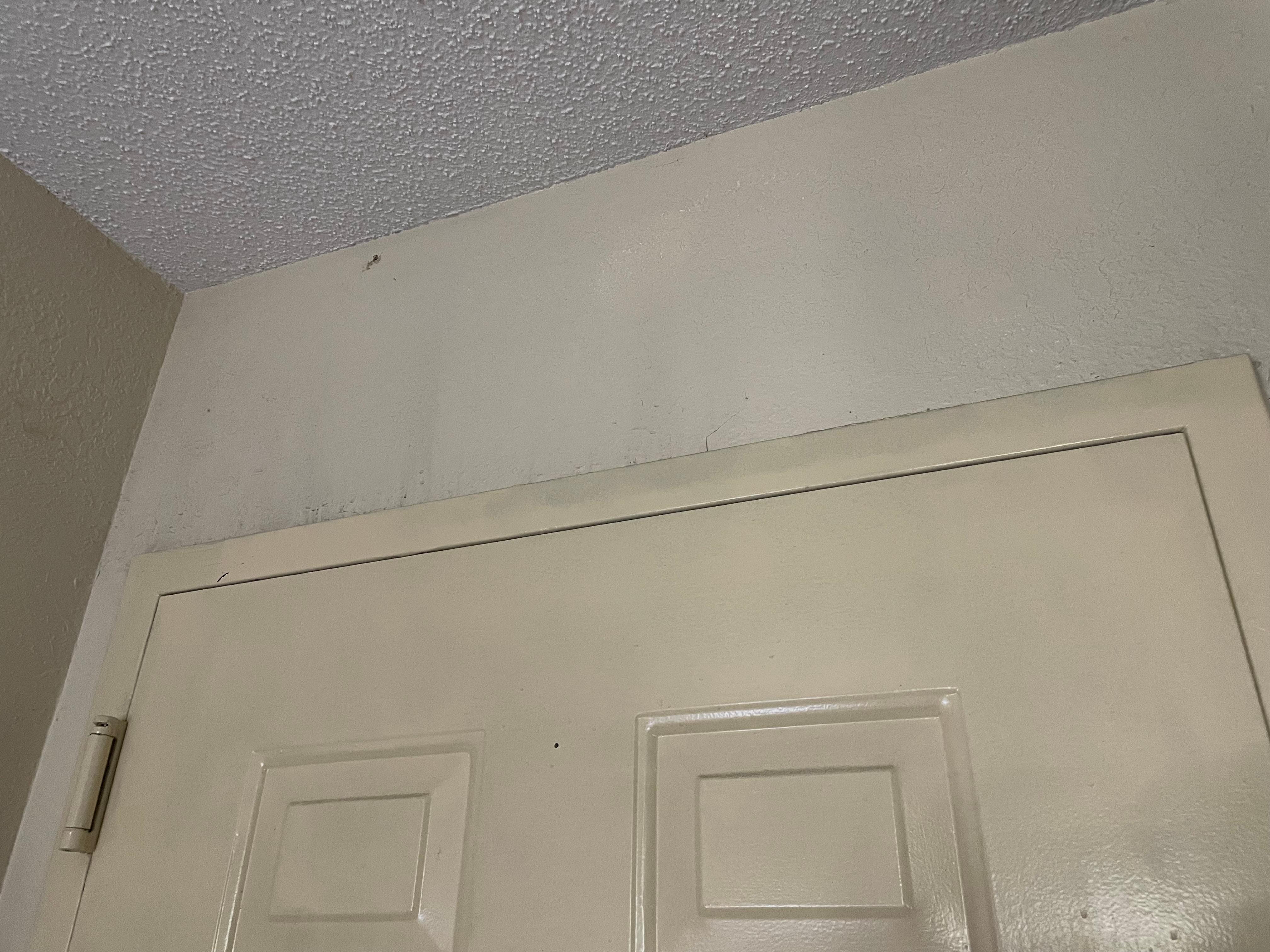 You can see it from far away as well