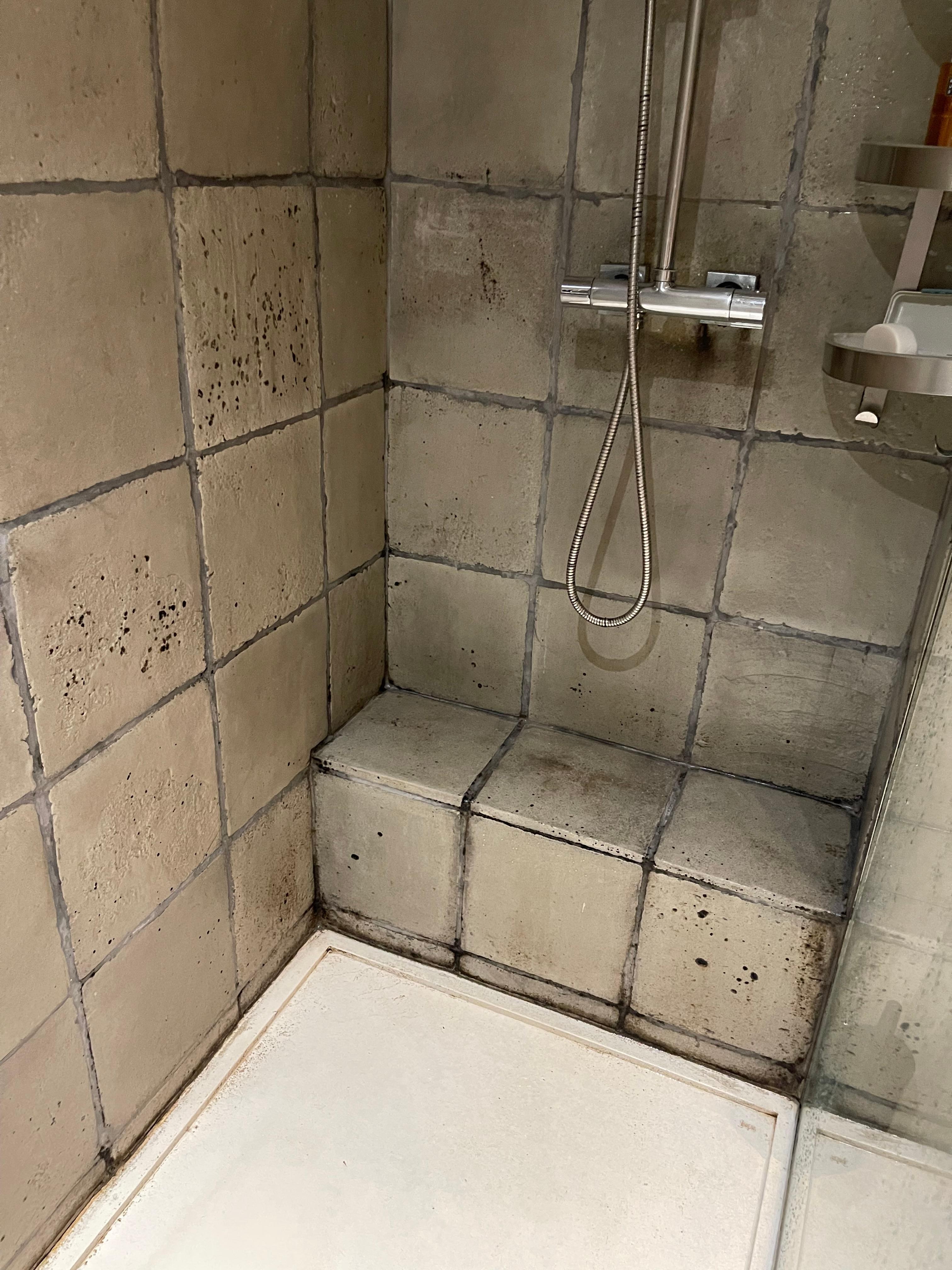 Moldy spots everywhere and it stunk. 