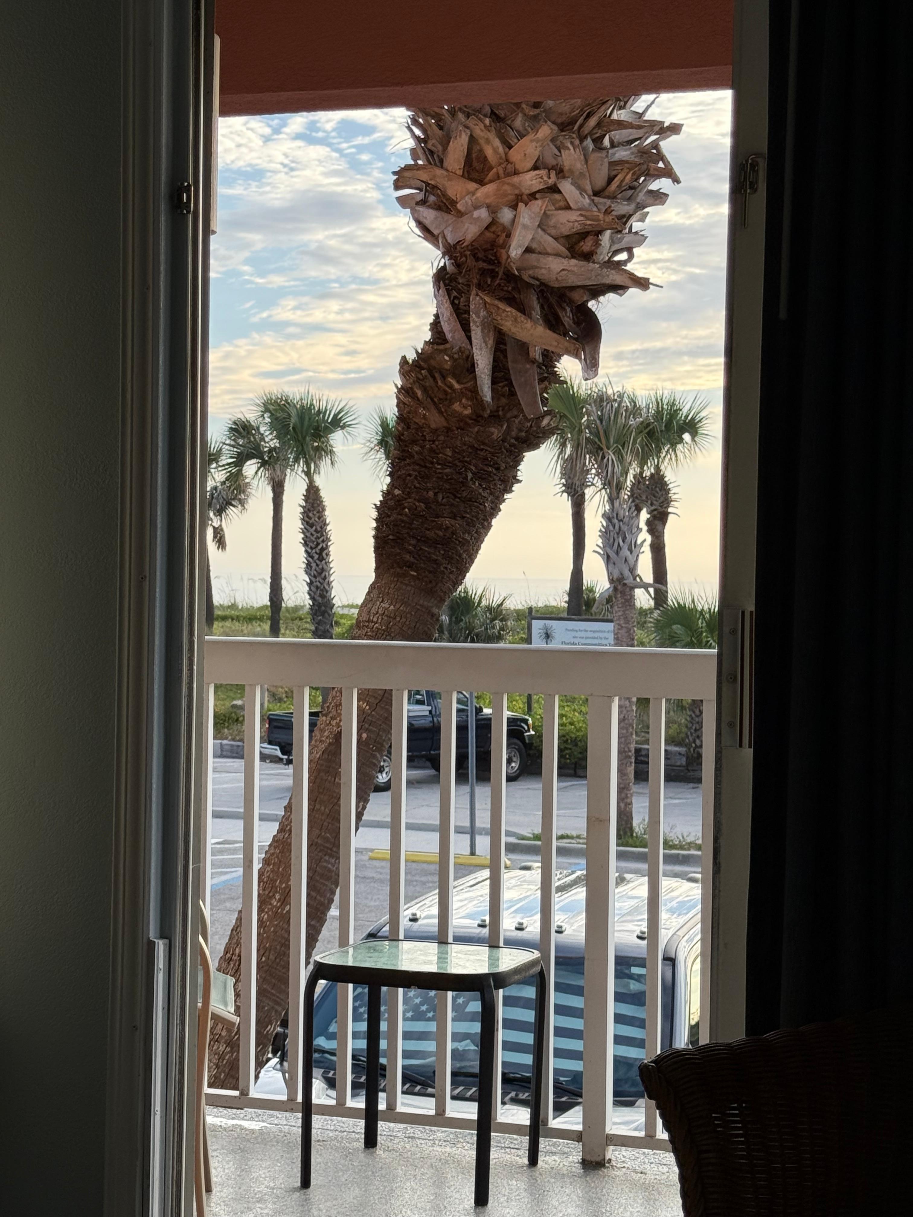 View from laying on the bed.