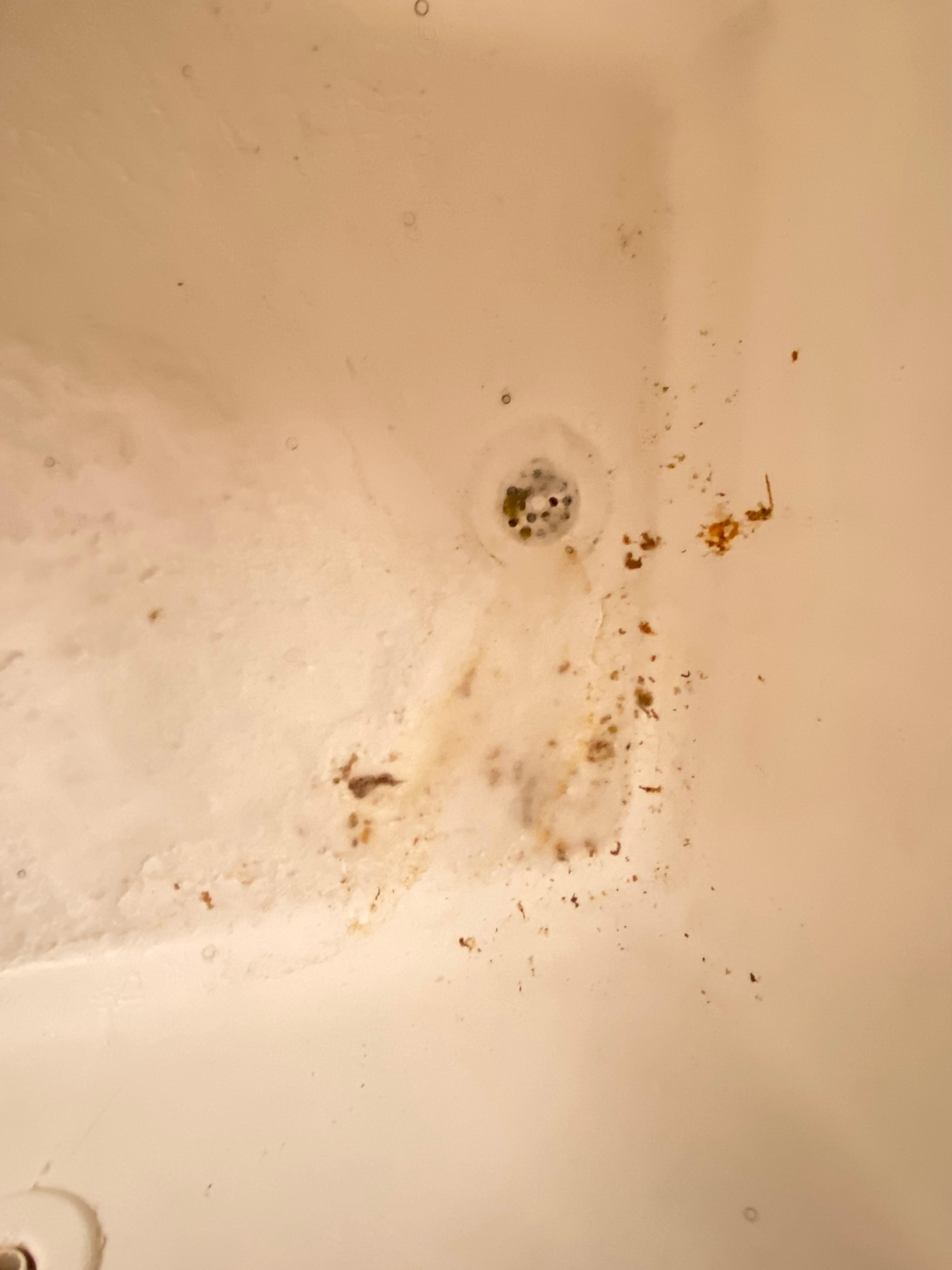 Slime left over from the jets in the bathtub