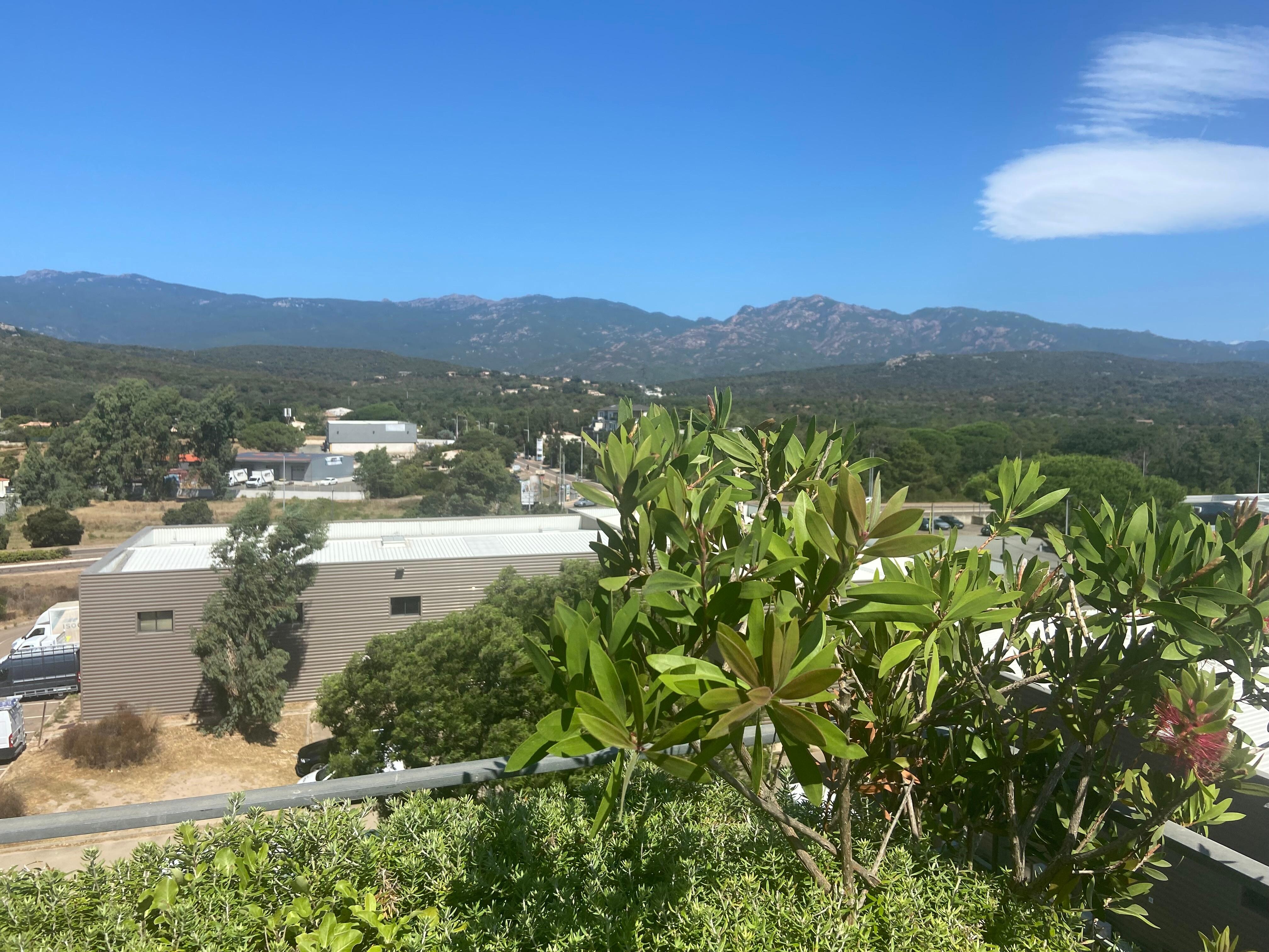  View from restaurant