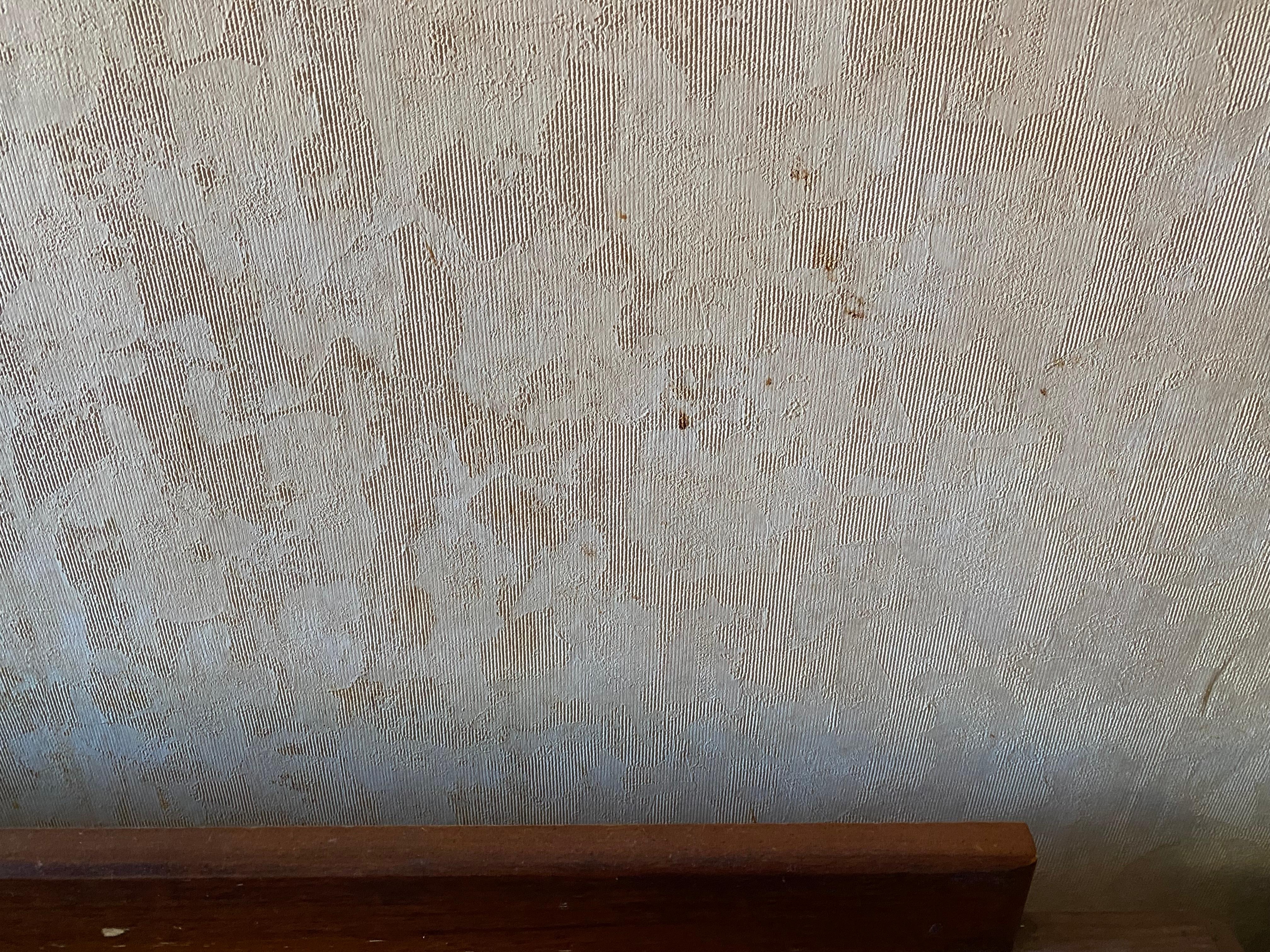 Stains on walls in room