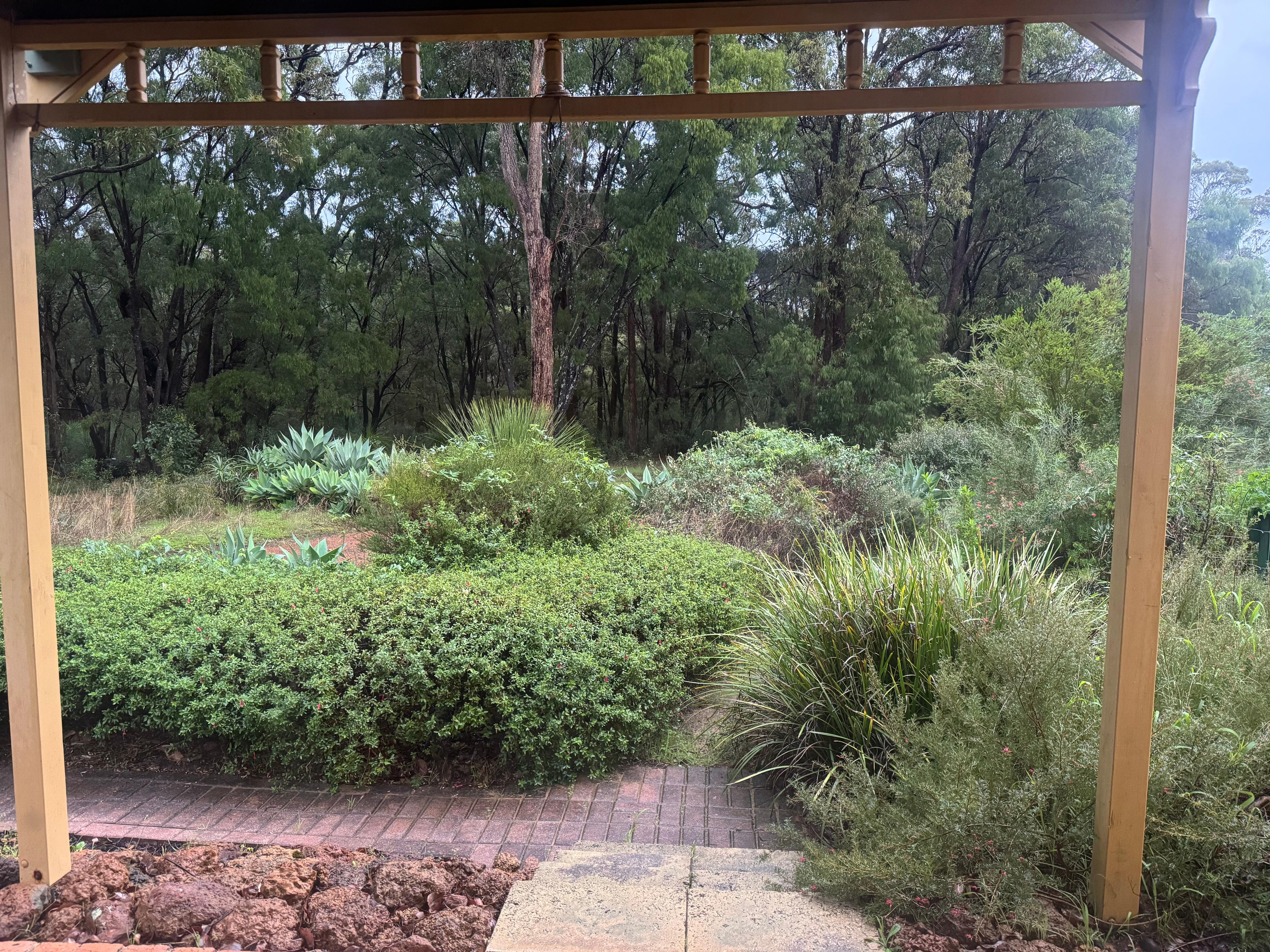 Lovely garden