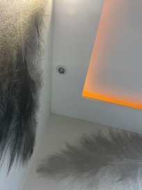 Blown bulb
