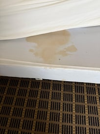 Piss on the box spring sheet. This was just one spot. More yellow areas then white on the sheet.