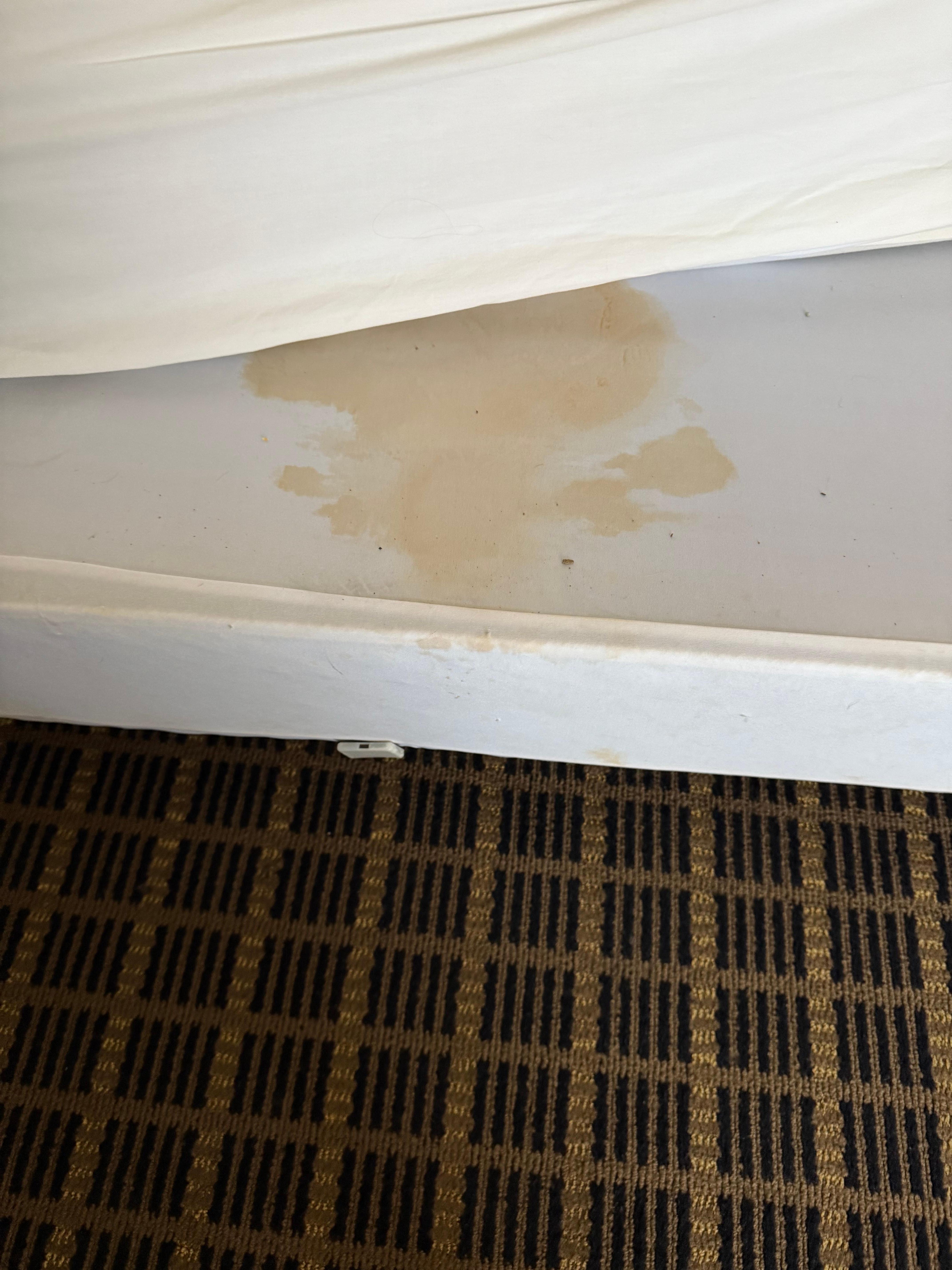 Piss on the box spring sheet. This was just one spot. More yellow areas then white on the sheet. 