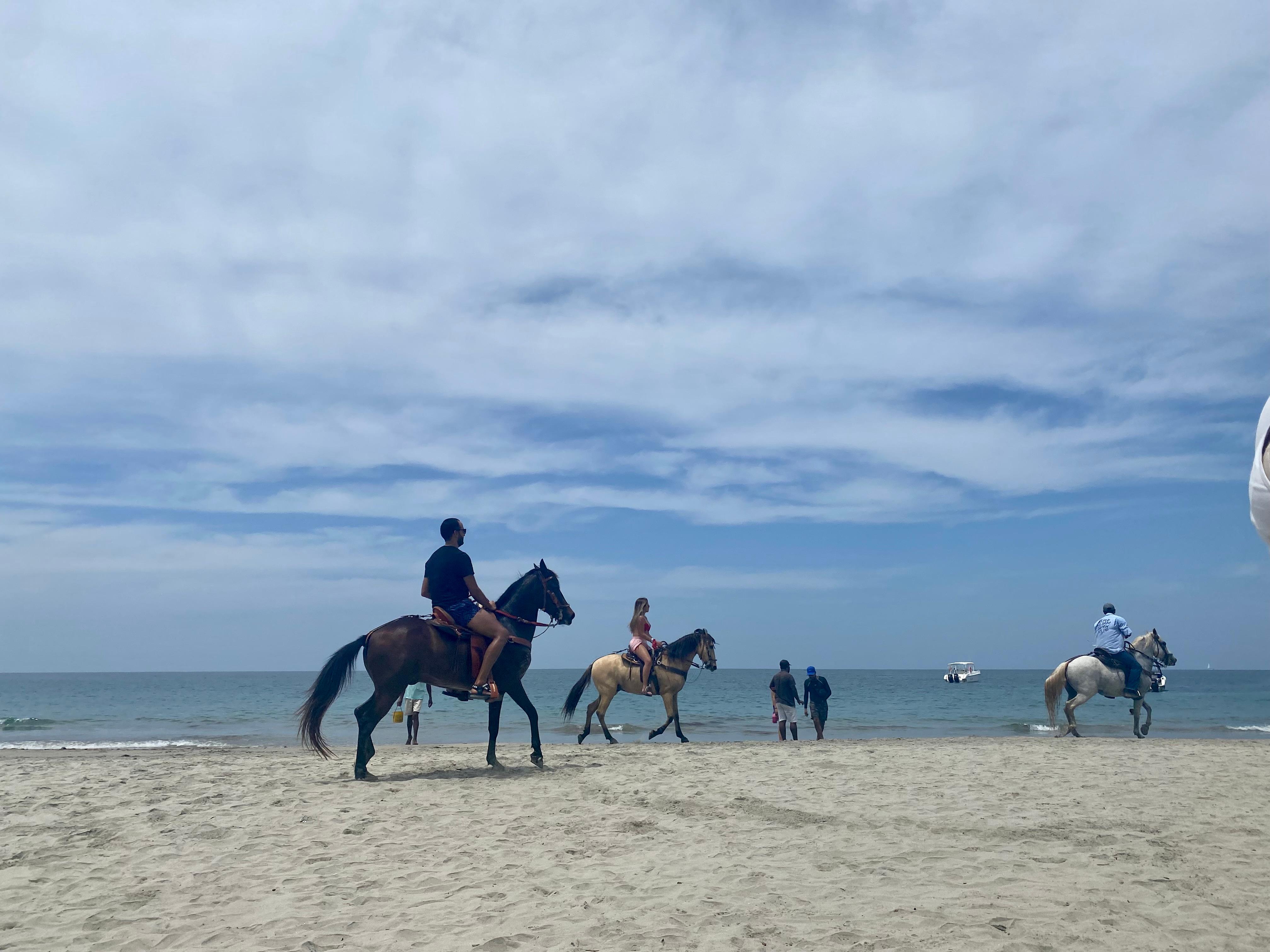 Horseback rides on beach