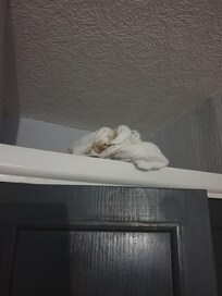 Dirty towel found