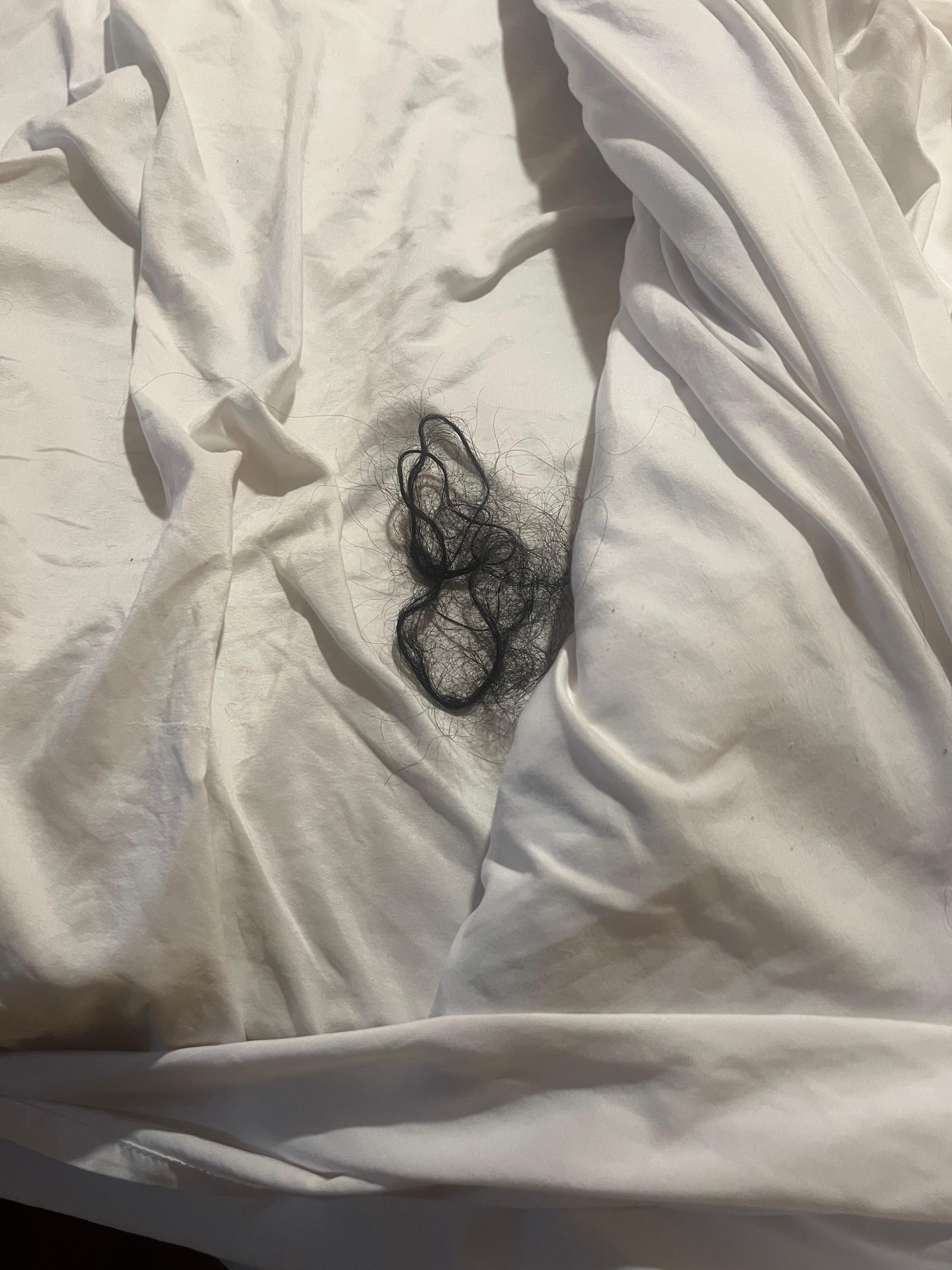 Hairball found in the bed