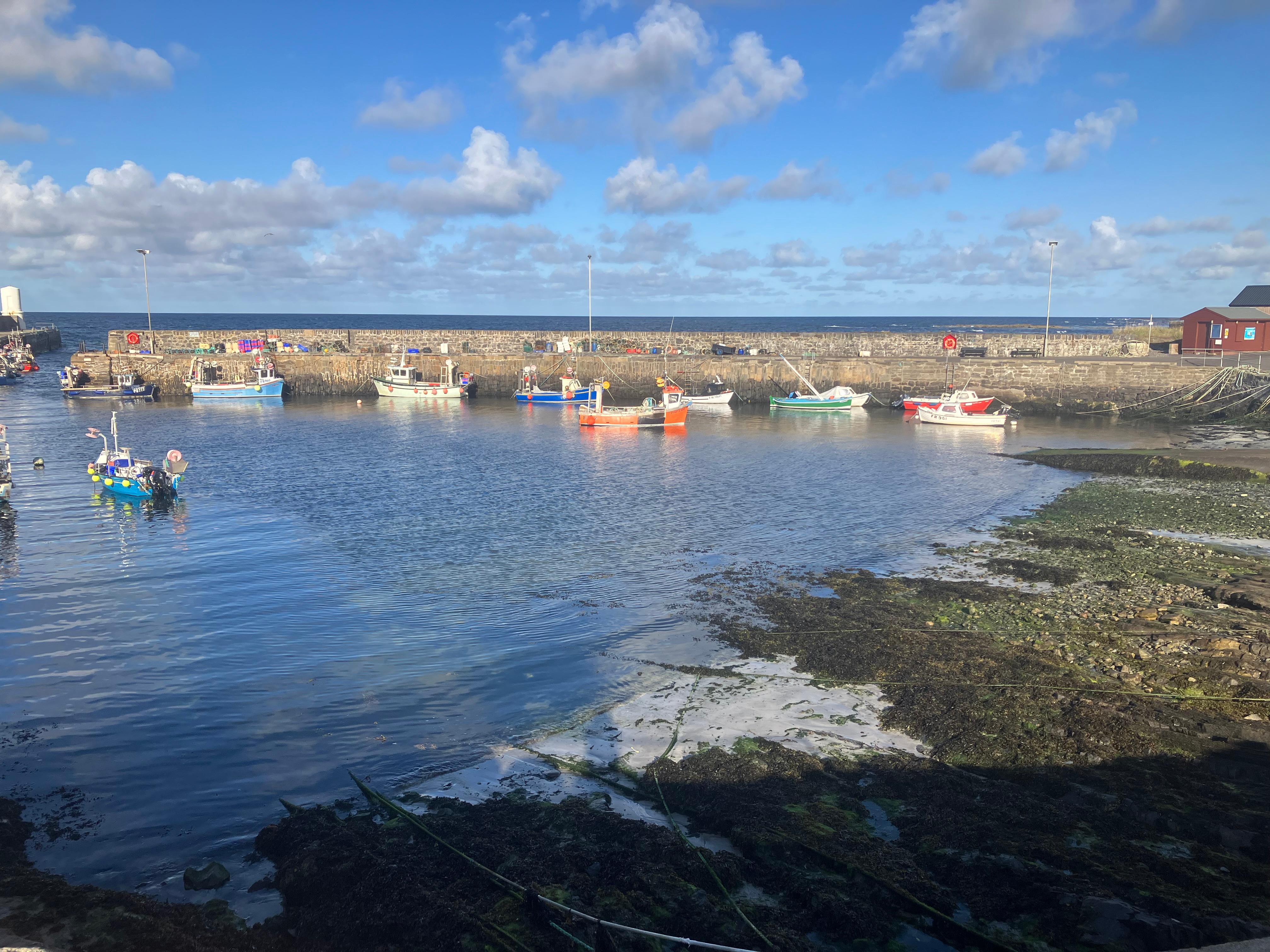 Lovely little harbour just a short walk away