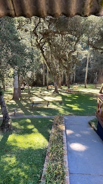 Jardim