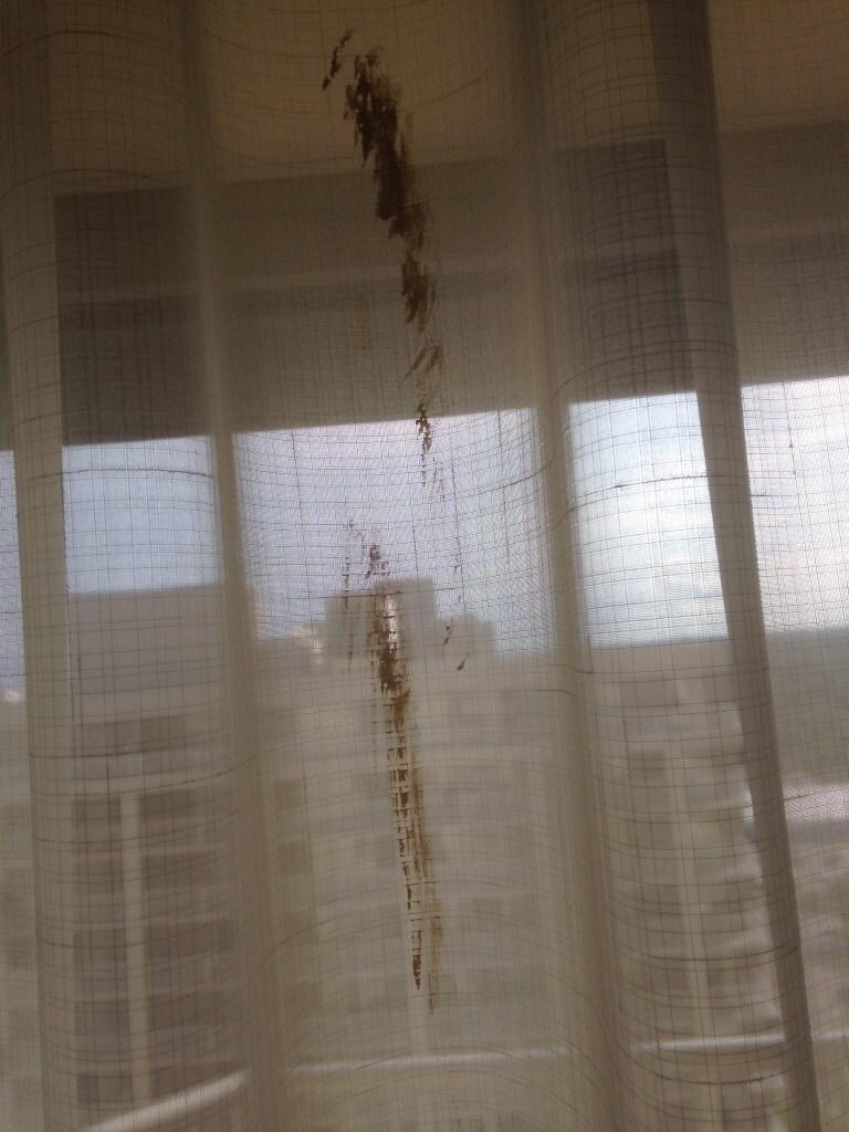 What is on the curtains?!?