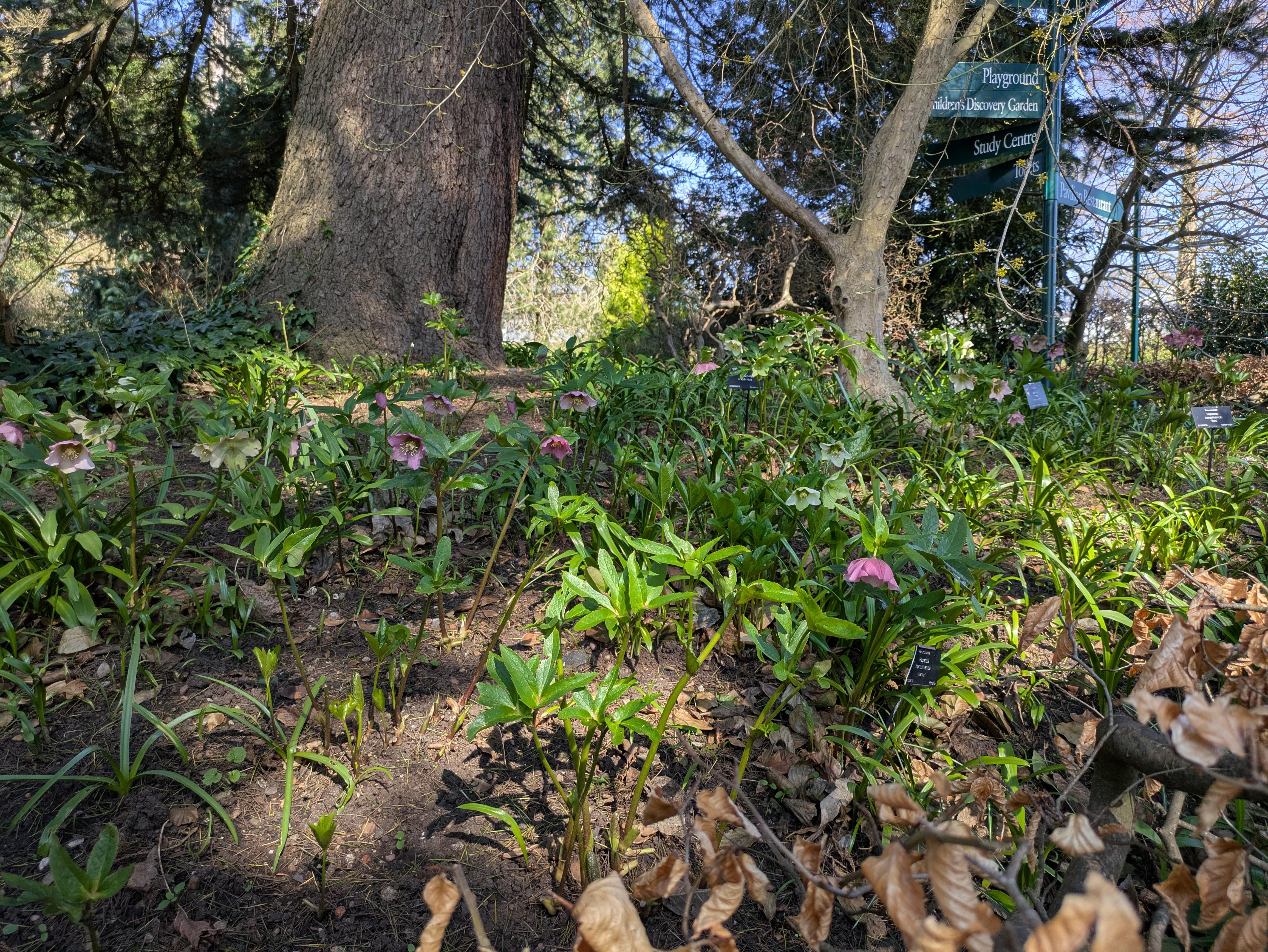 The Botanical gardens are well worth exploring.