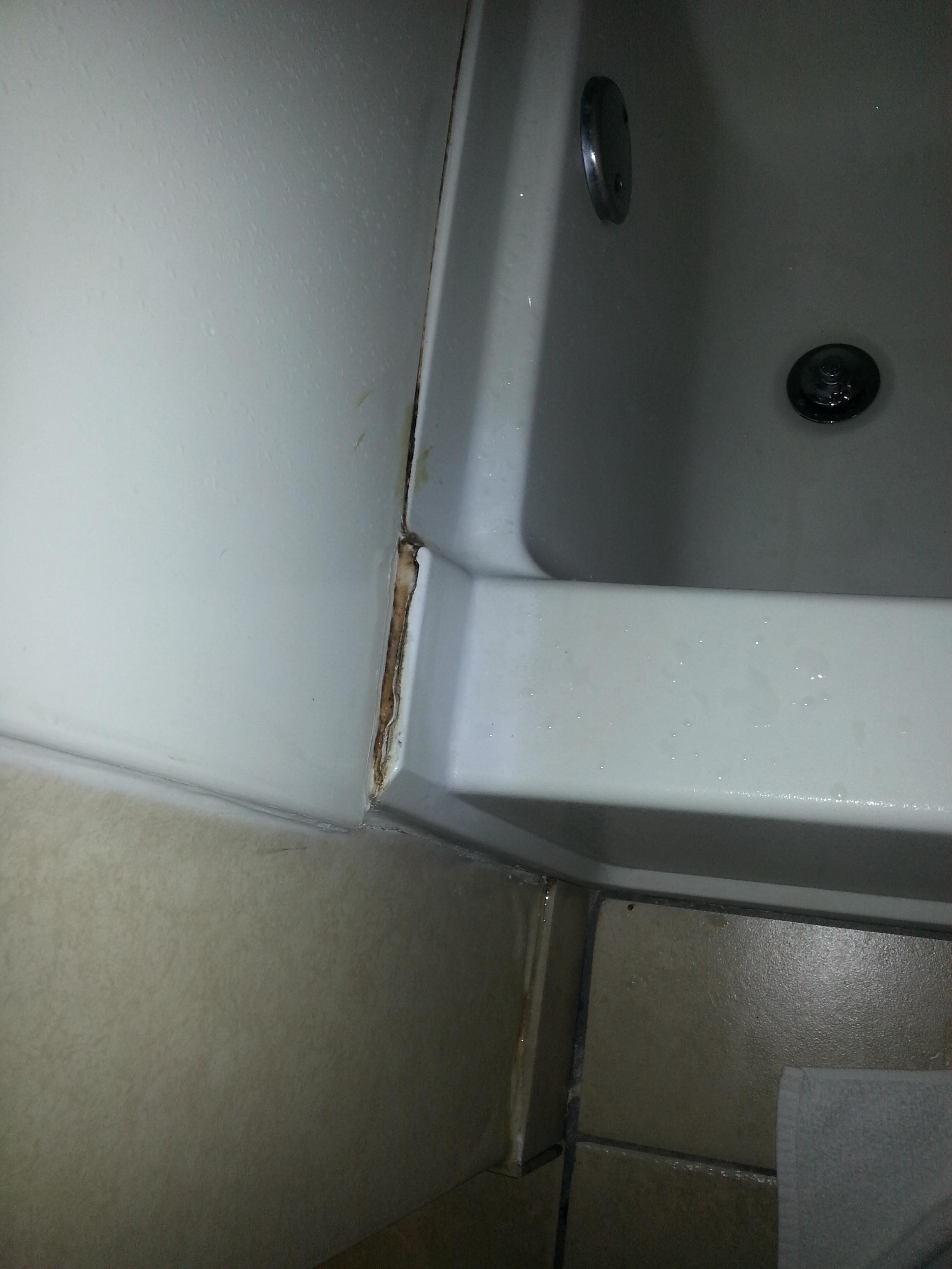 moldy seams in shower