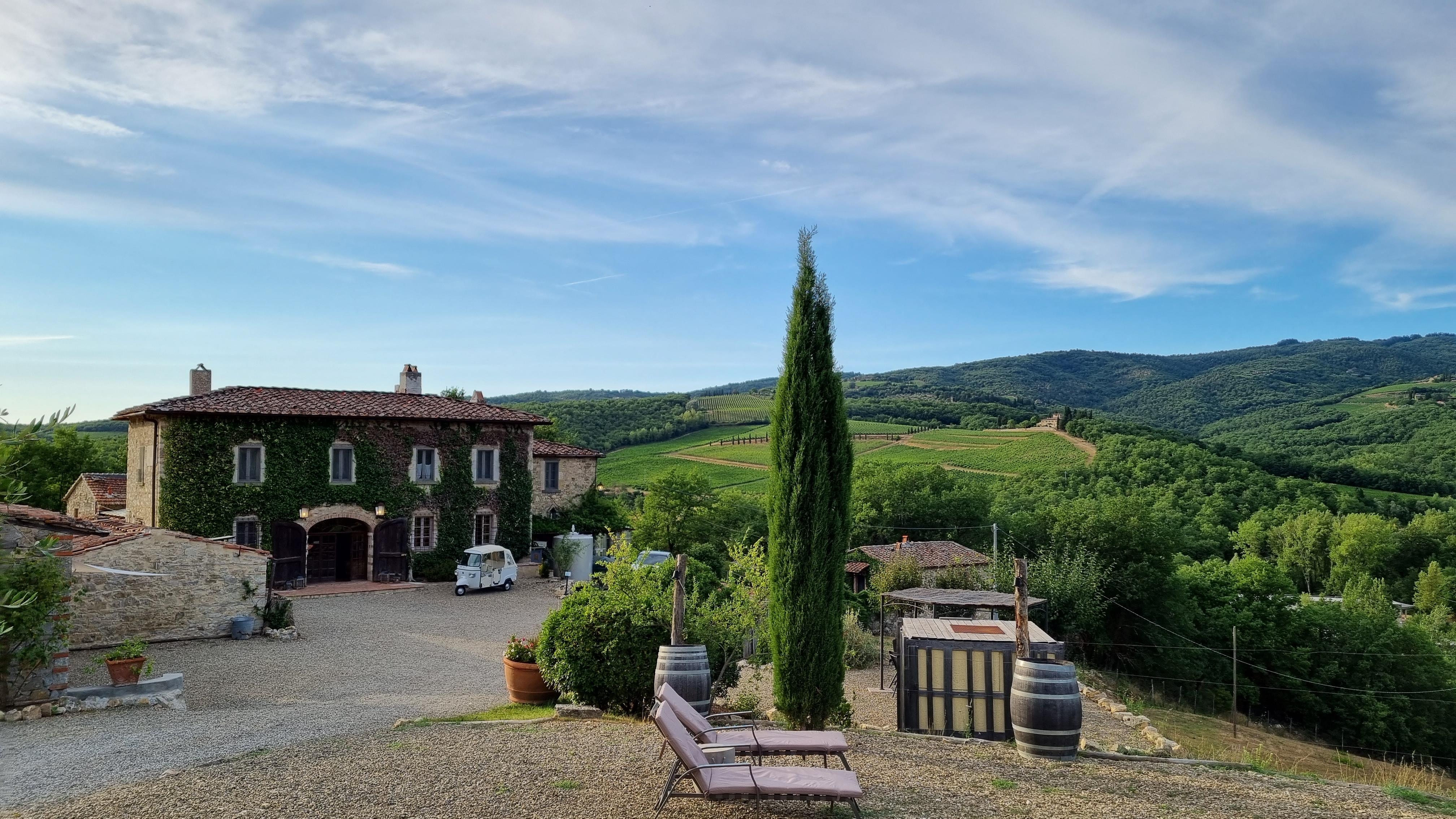 View from entrance. There is also a wonderful dining terrace on the left overlooking more vines. 