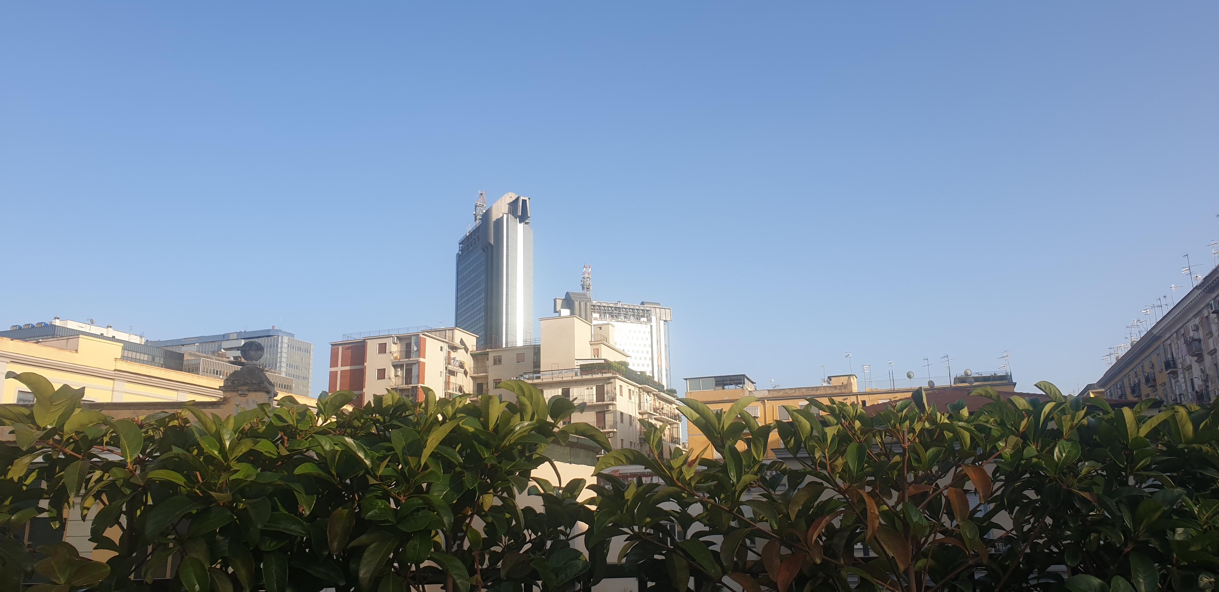 City from roof garden
