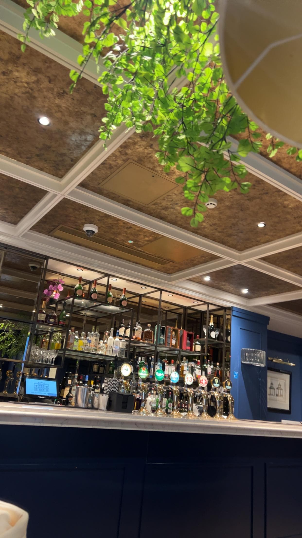 the bar