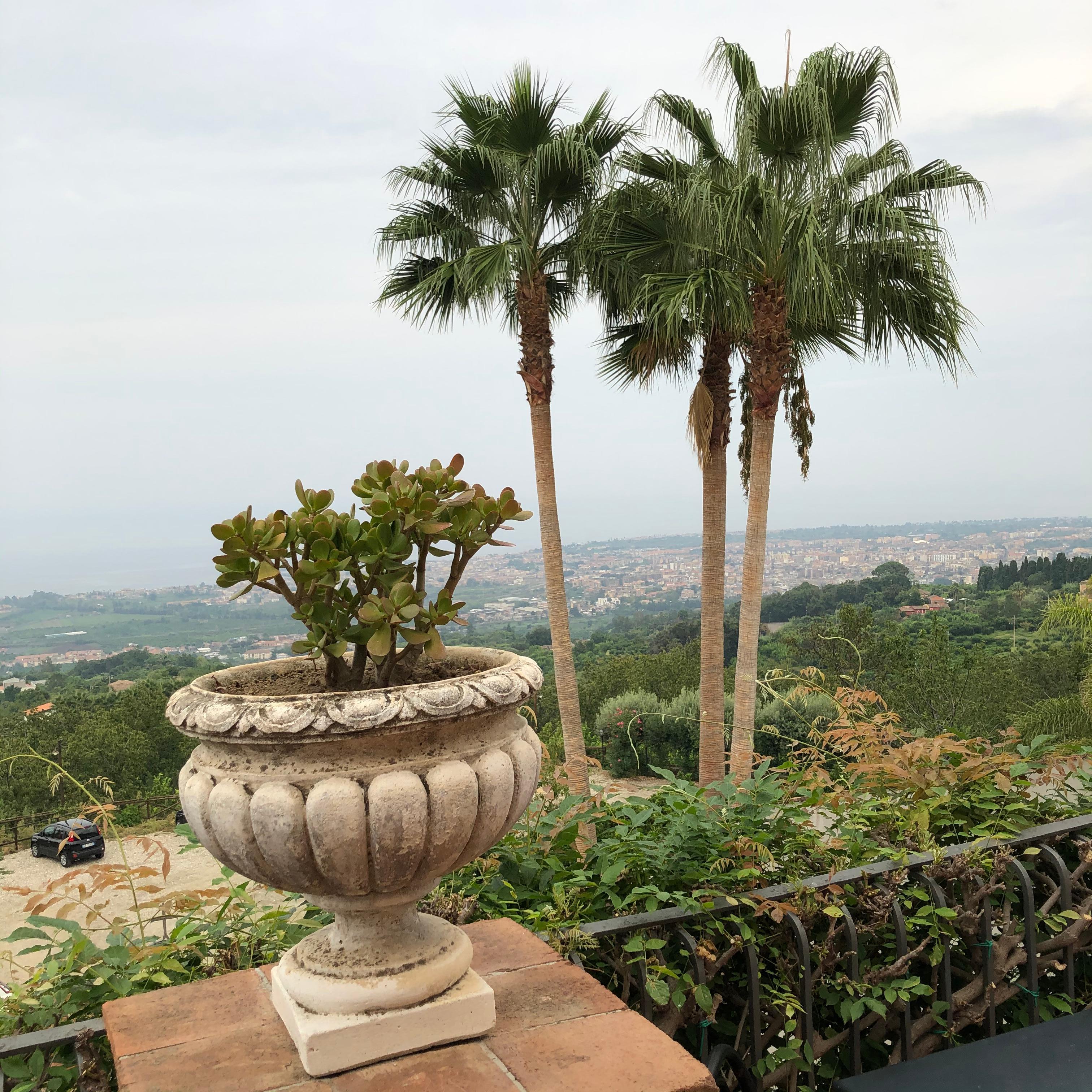 View from the terrace