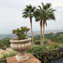 View from the terrace