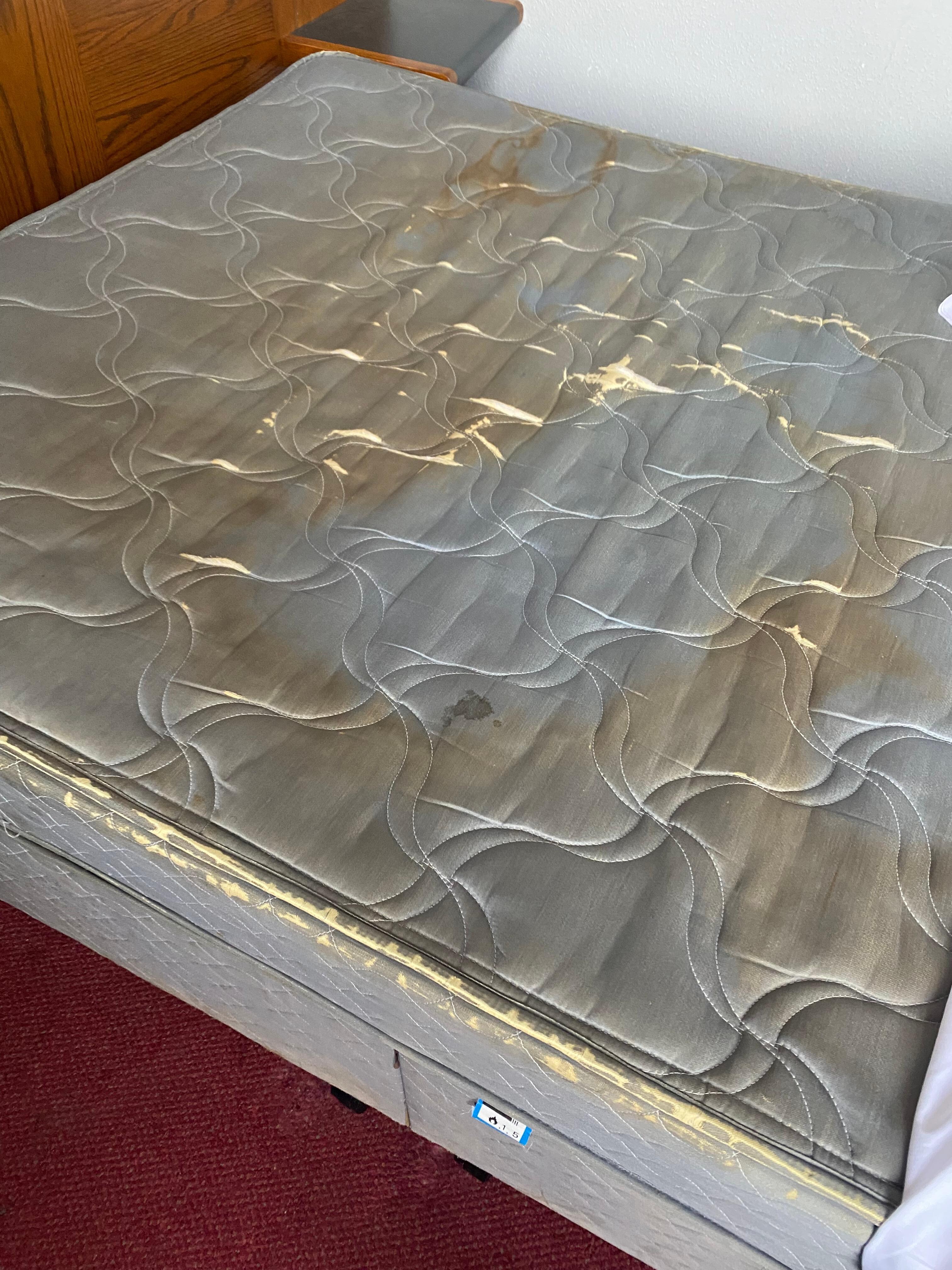 Sickening I still feel dirty. Wished I’d checked it before 