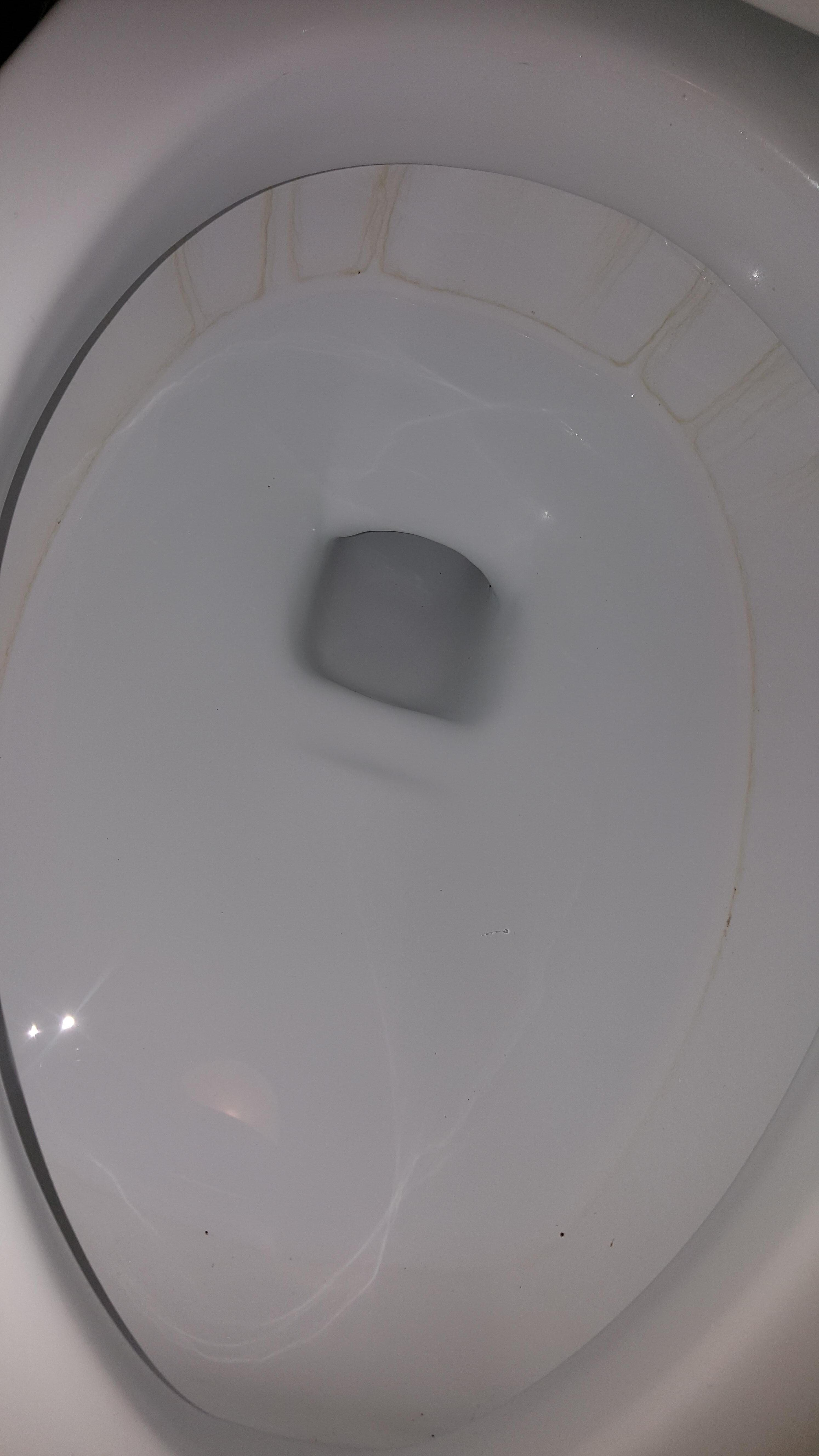 Ring inside toilet
