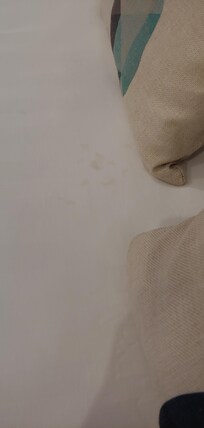 Stain on the bed