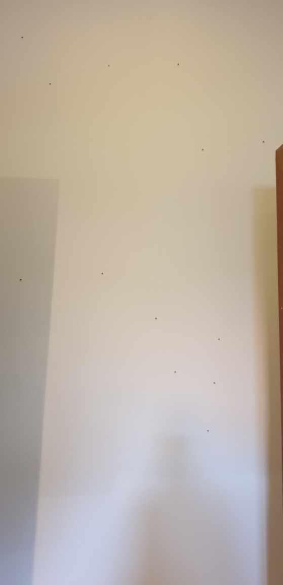 there are many bugs on the wall, also on the floor