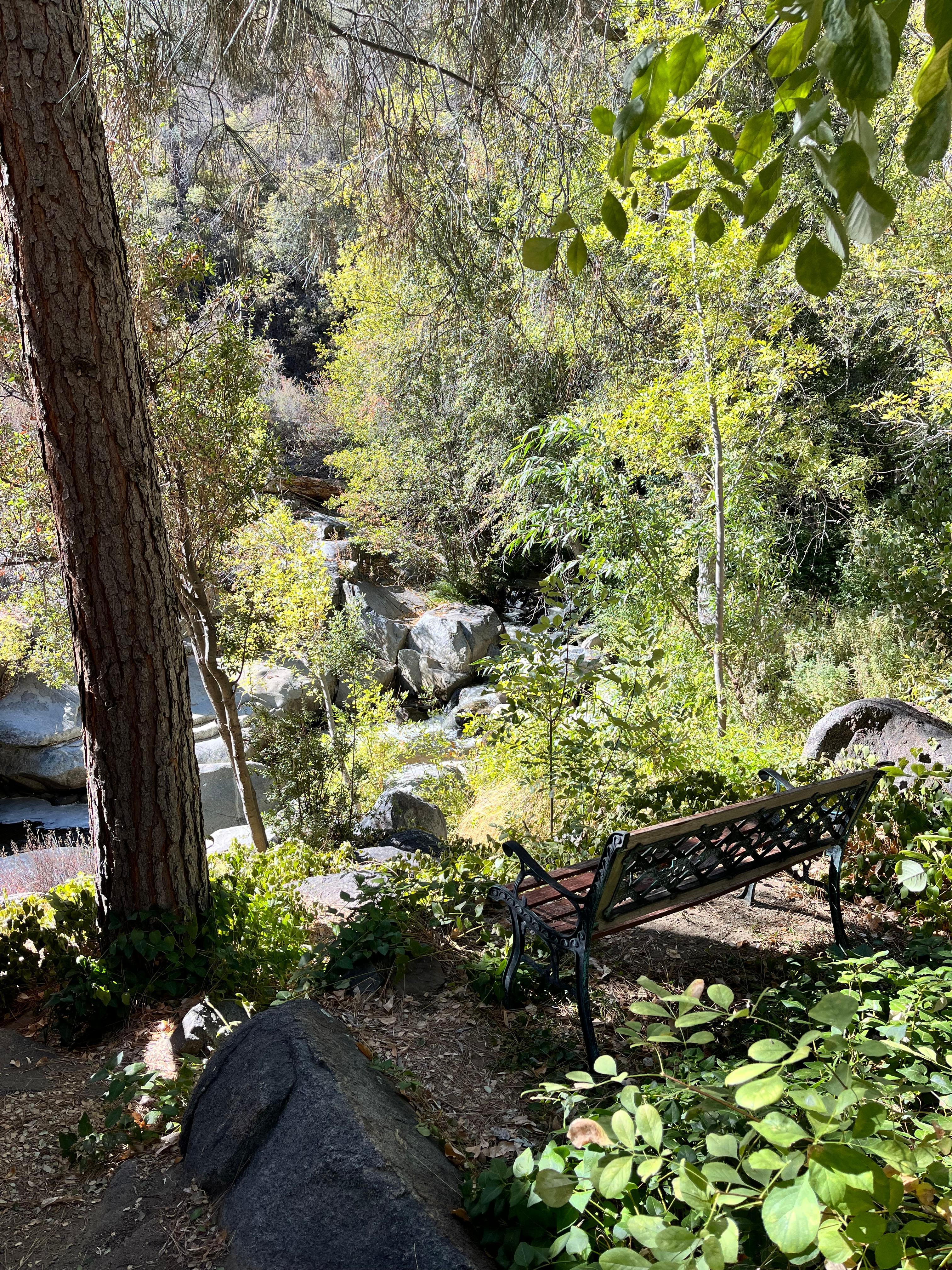 Sitting area facing the river