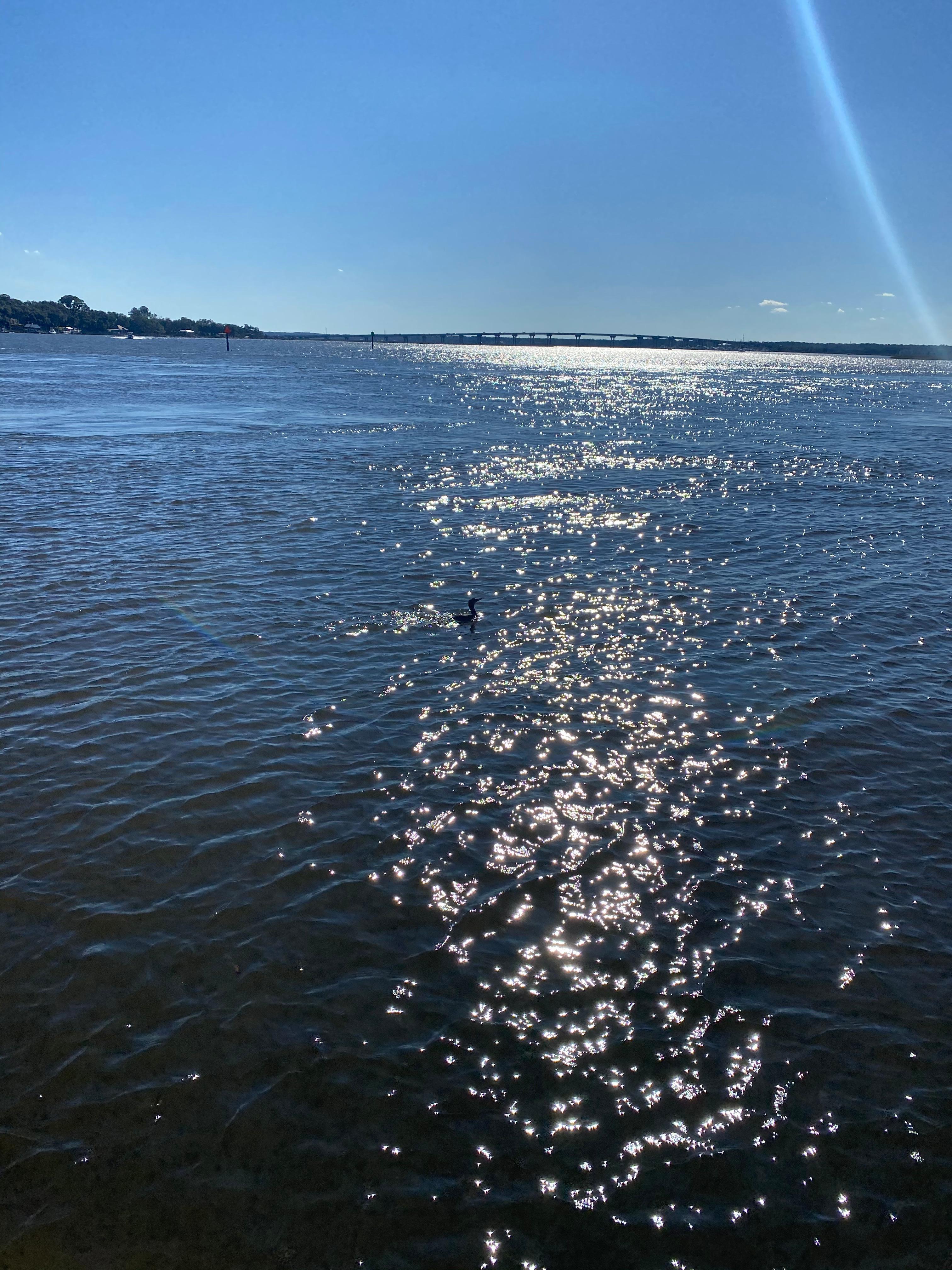 View from the boat dock