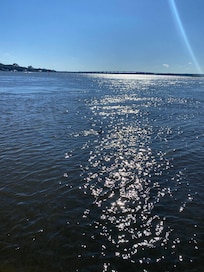 View from the boat dock