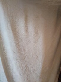 This is the one towel they left for two. Stained or dirty