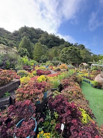 花園非常漂亮