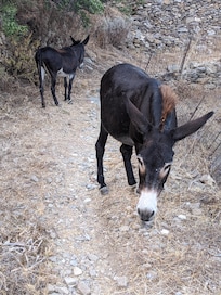 Redescente du village de Thoralia par le sentier muletier