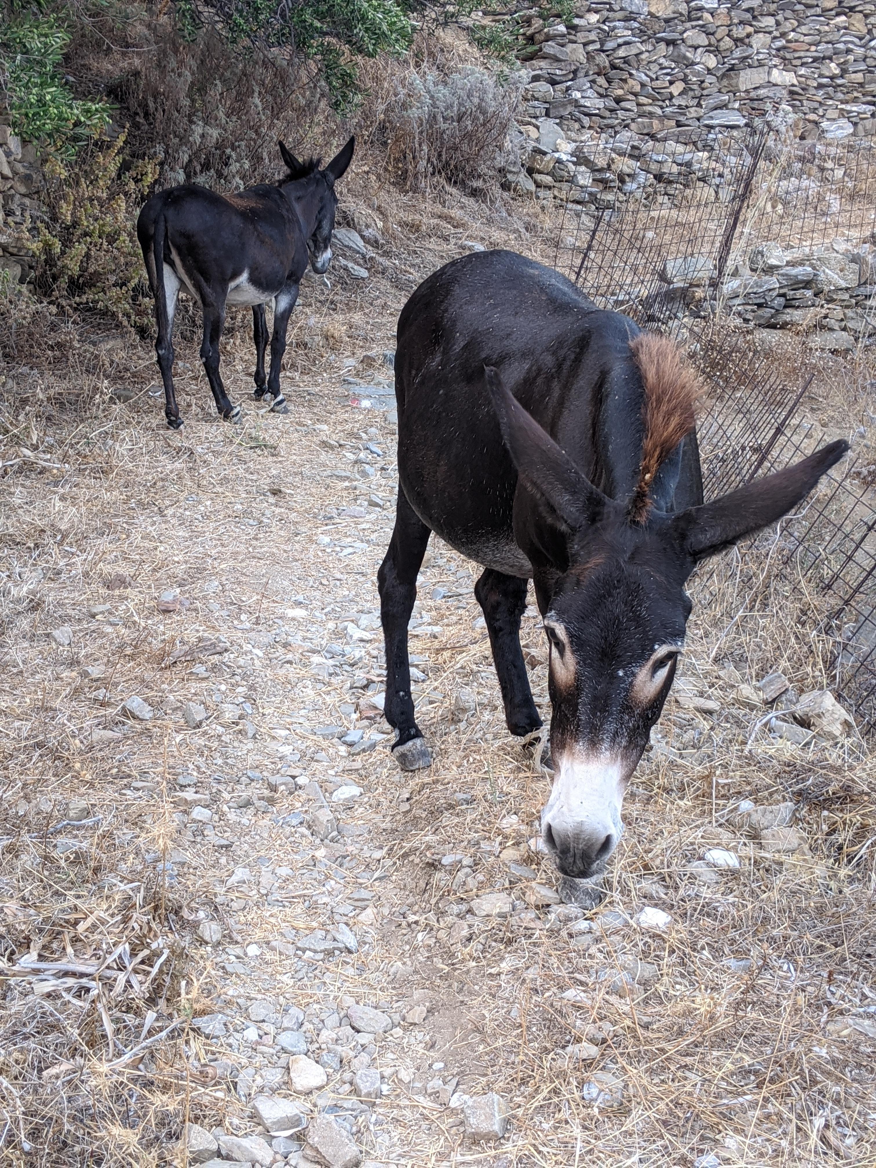 Redescente du village de Thoralia par le sentier muletier