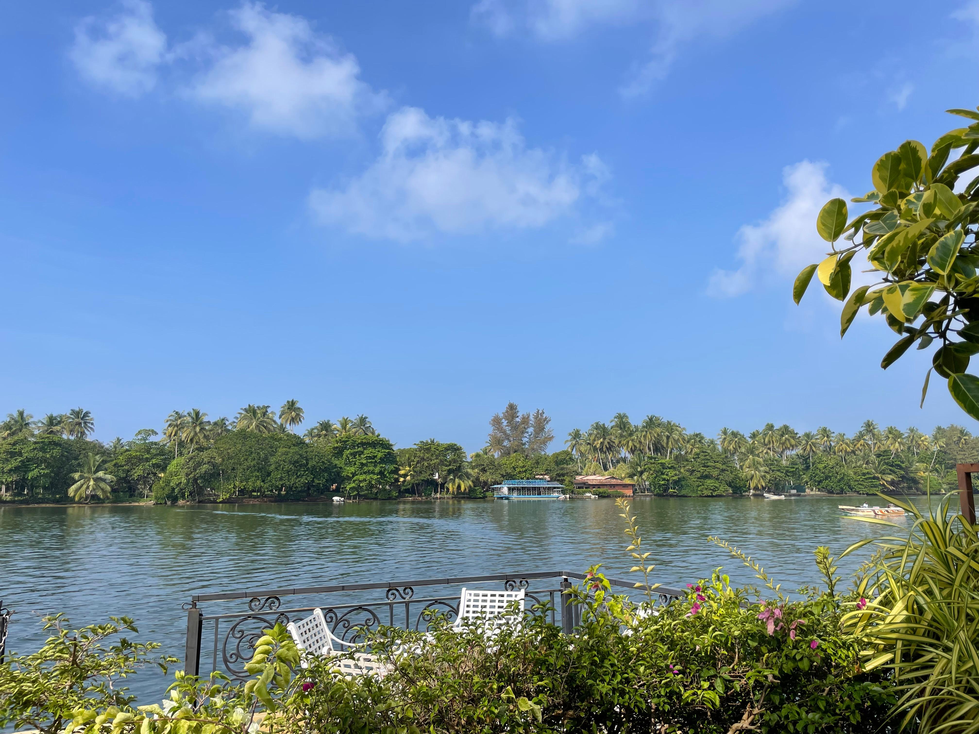 View from deck