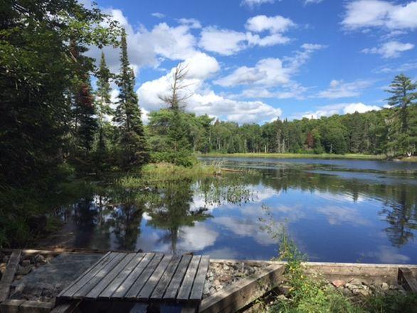 Moffat Pond in late summer.