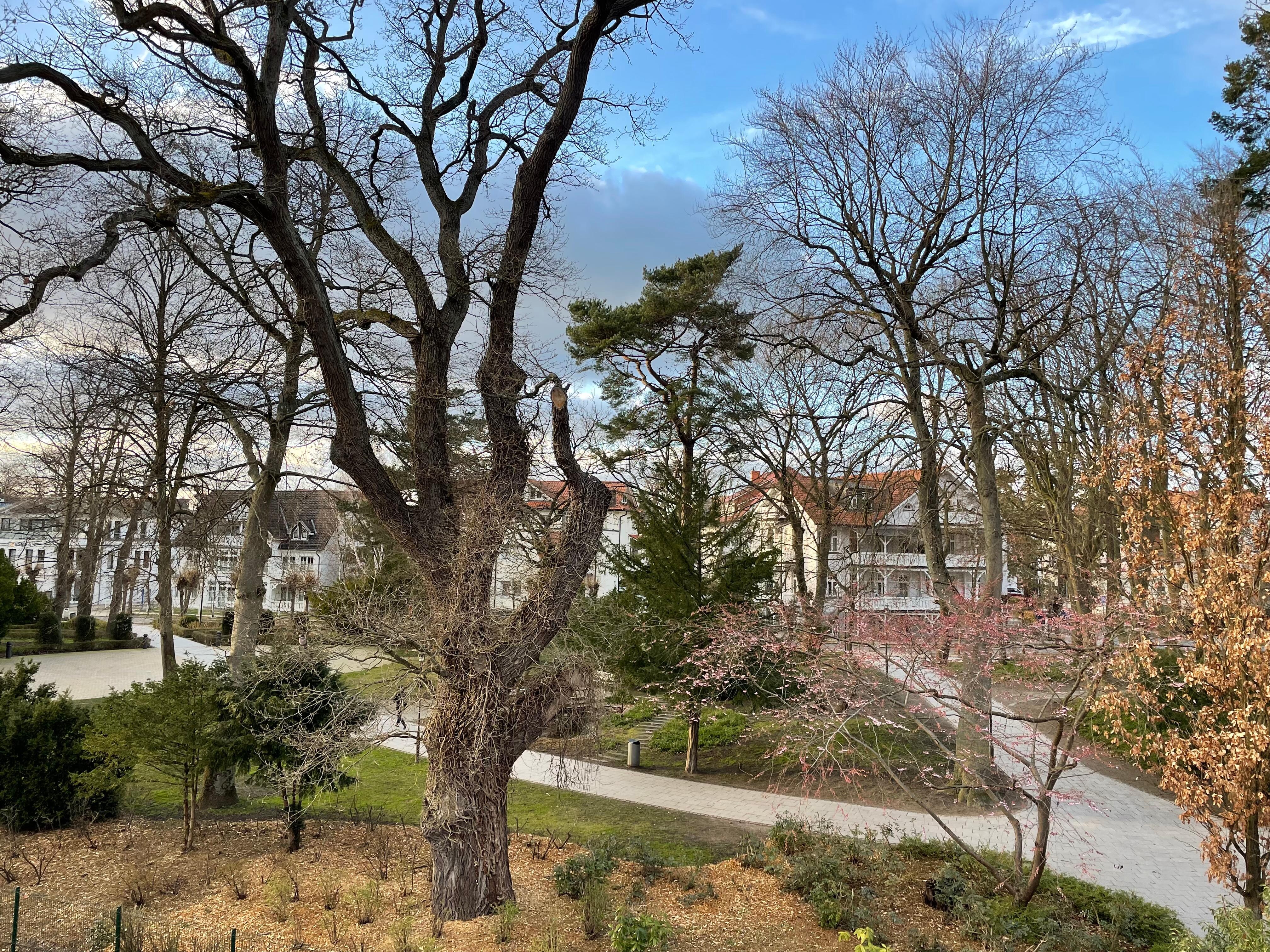 Udsigt til parken fra studiolejlighed med balkon