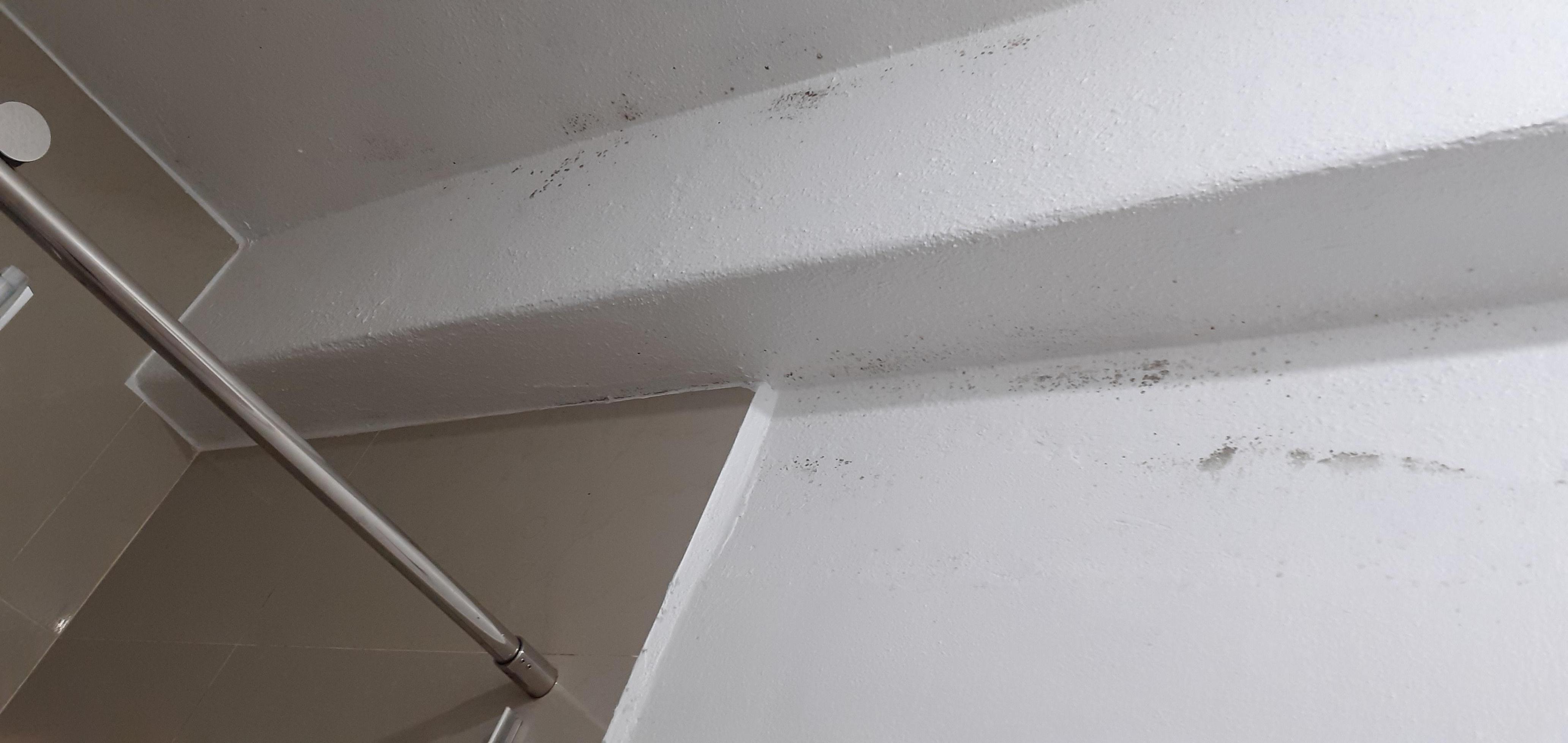 Mold in bathroom