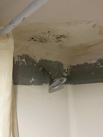Moldy bathroom walls