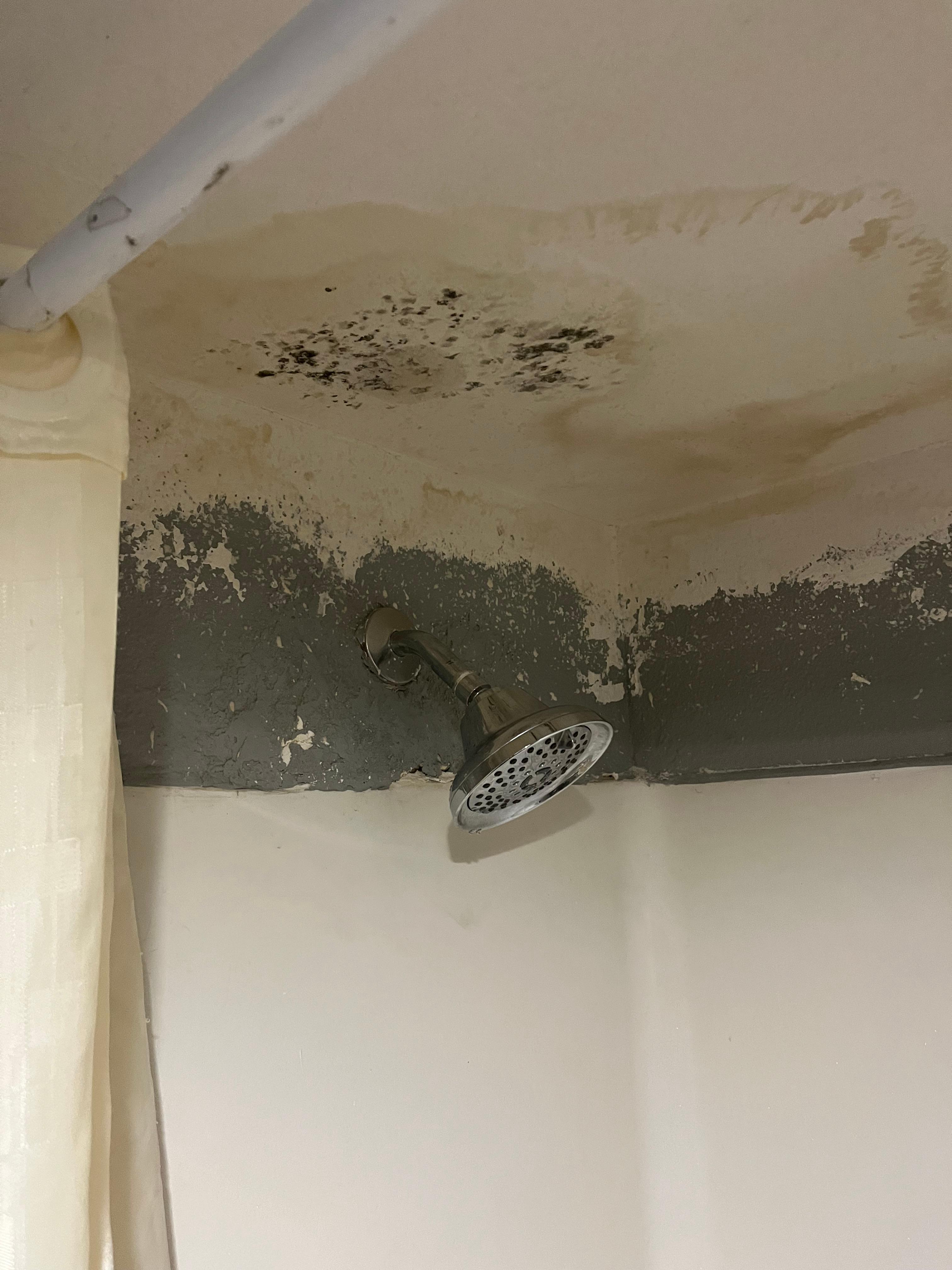 Moldy bathroom walls 