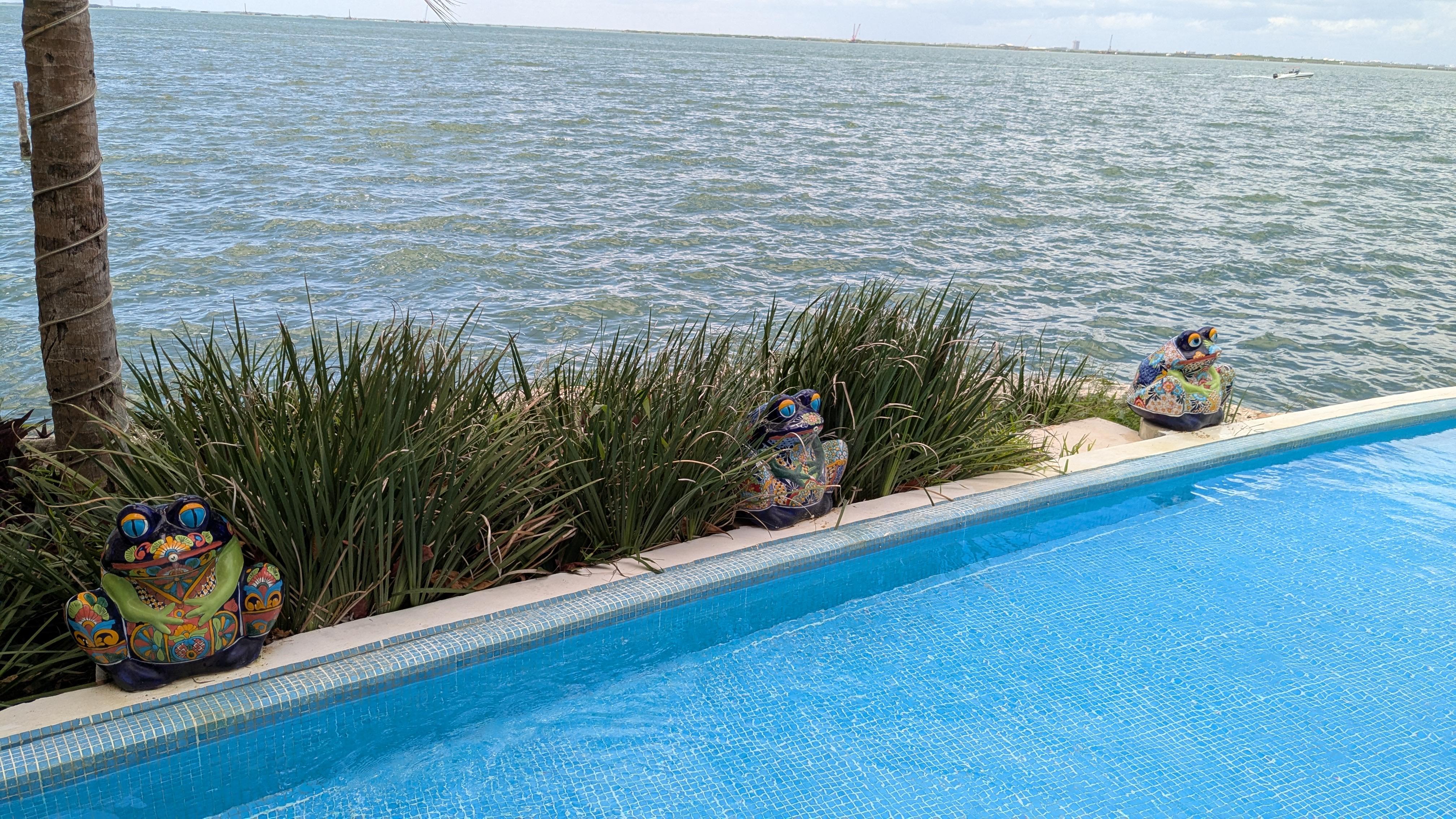 Pool on the lagoon side