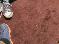 Shoulda took mote of these. The whole floor was littered with lint and various debris