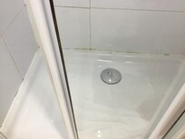 Mold in Shower