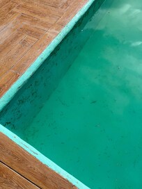 Piscina suja