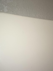 Might be a bad picture but hair on shower walls