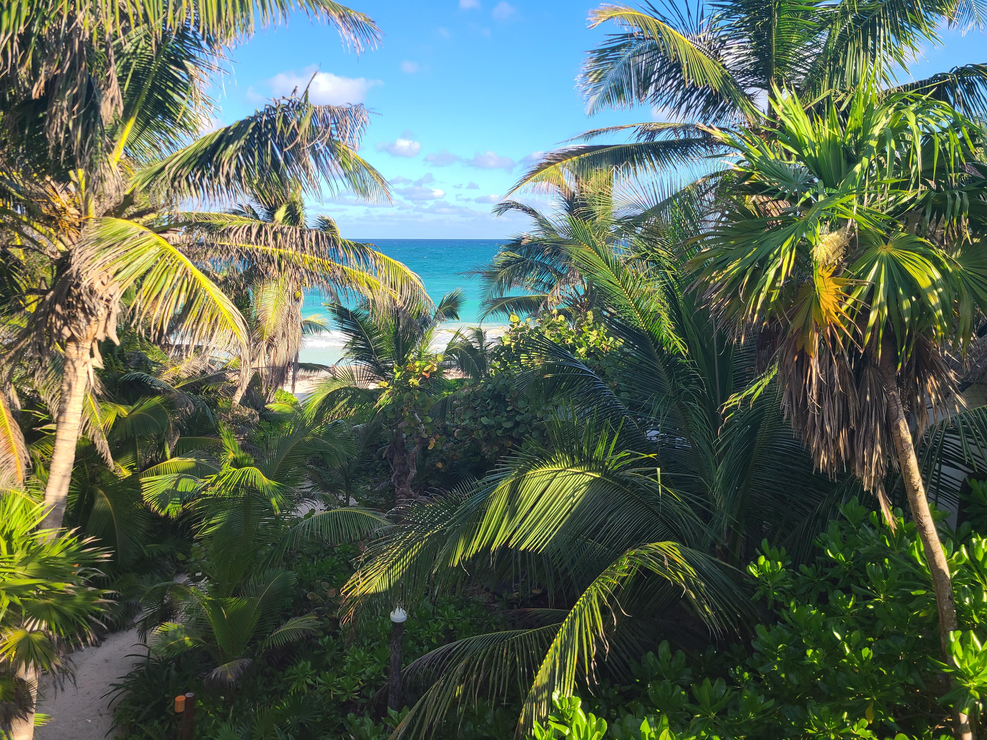 View from the balcony