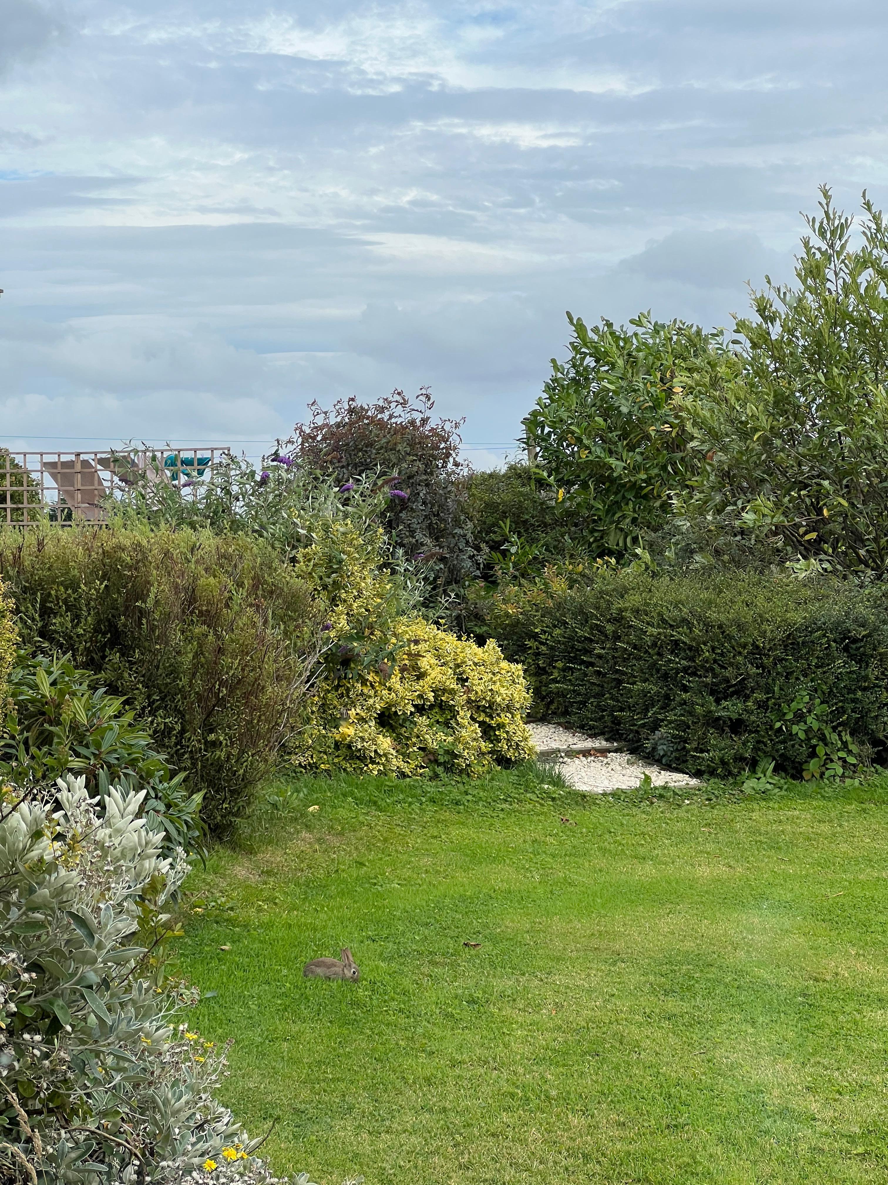 View from the kitchen window